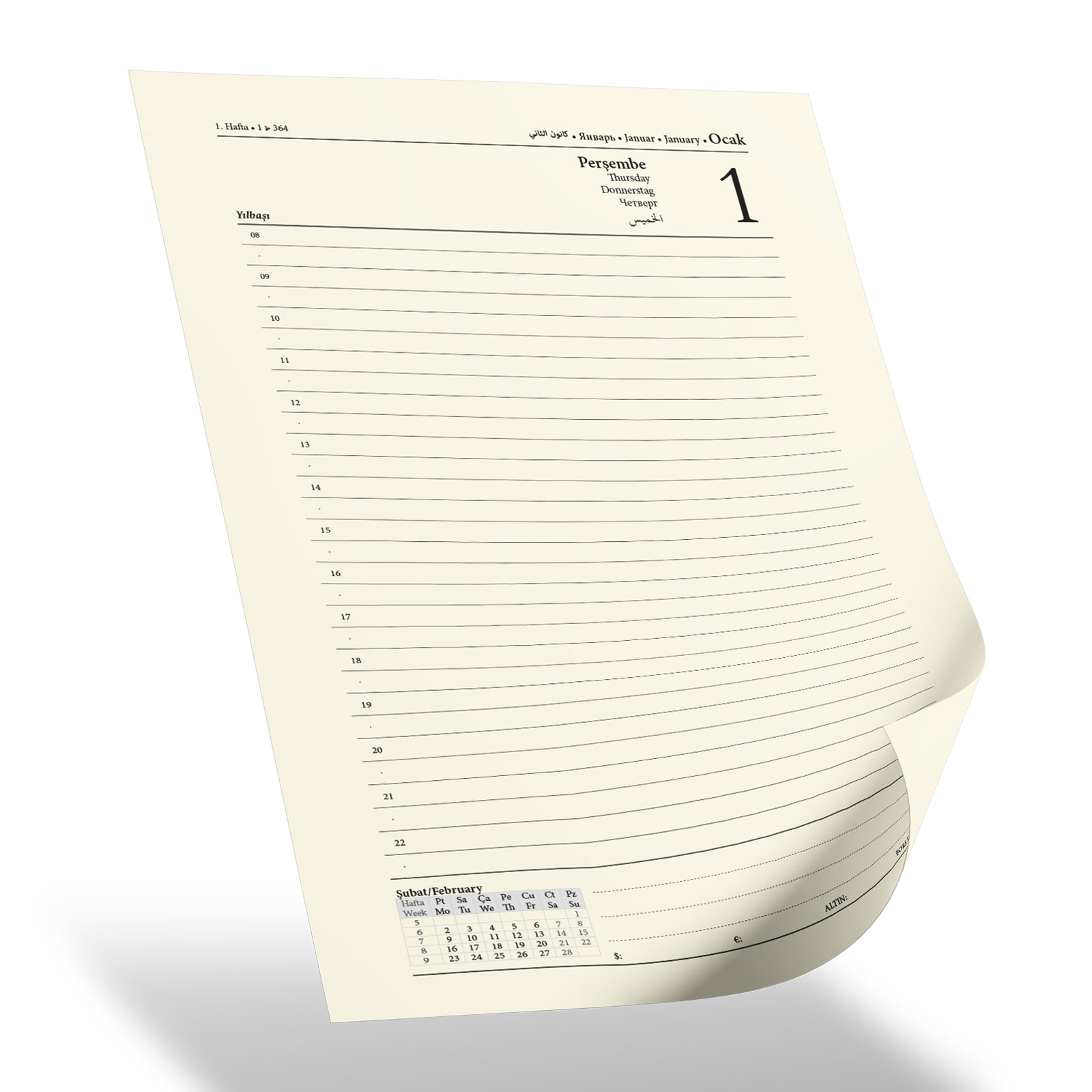 YAŞAMKENT TURKUAZ TARİHLİ AJANDA (17X24 CM)