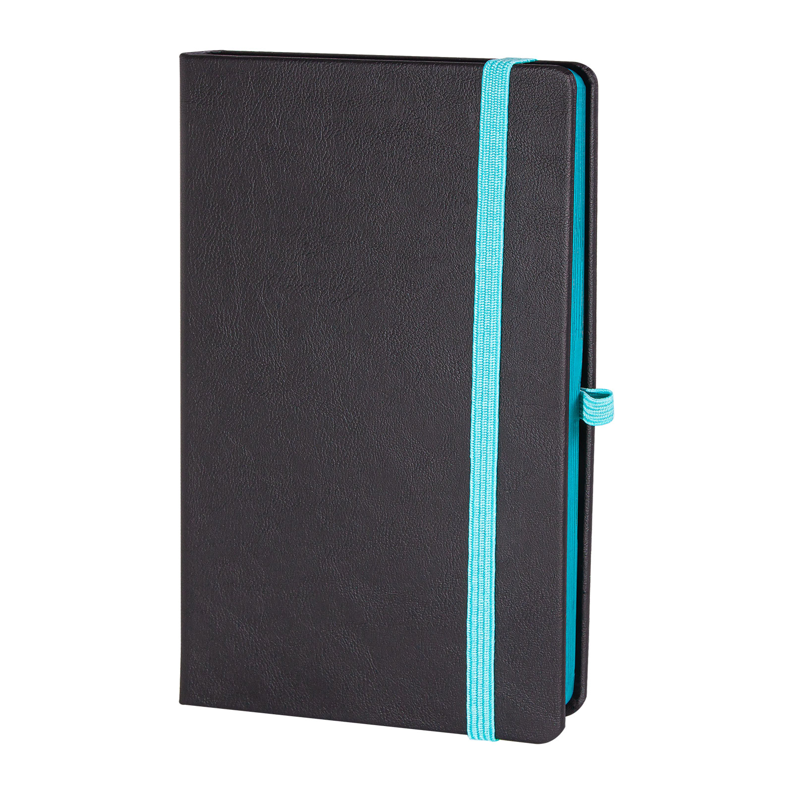 TUNALI TURKUAZ TARİHSİZ DEFTER (13X21 CM)